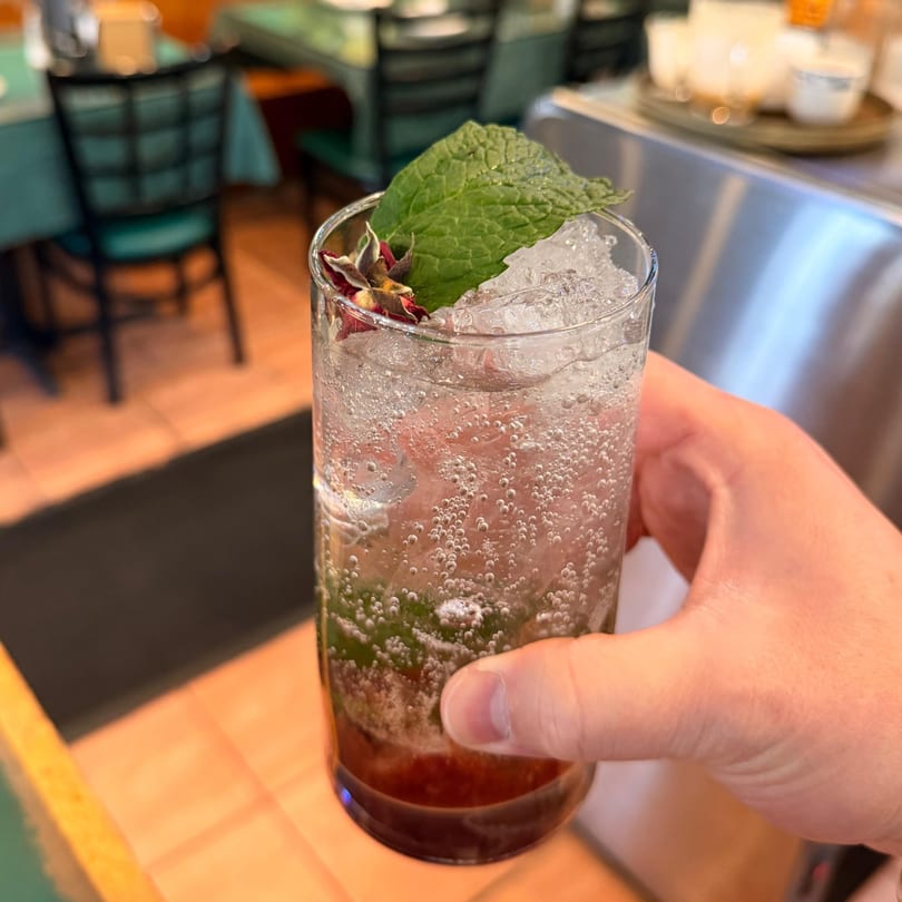 Hand holding a tall glass of sparkling red drink with ice, mint, and dried flowers.