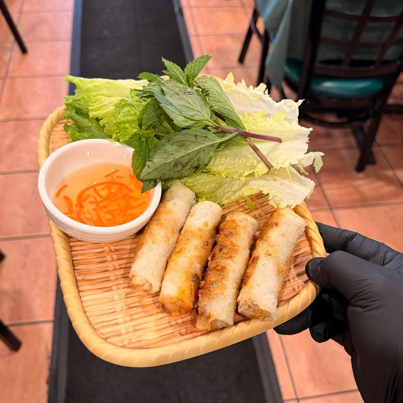 A hand in a black glove holds a bamboo tray with four Vietnamese fried spring rolls, lettuce, mint, and dipping sauce.
