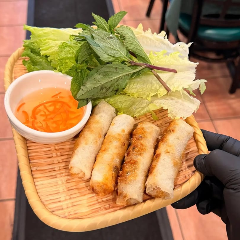 A hand in a black glove holds a bamboo tray with four spring rolls, lettuce, mint, and dipping sauce.