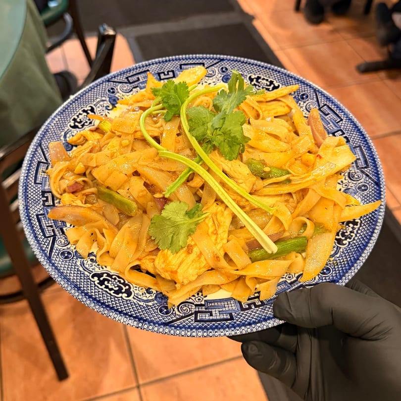 A hand in a black glove holds a blue and white plate of Vietnamese stir-fried noodles with cilantro.